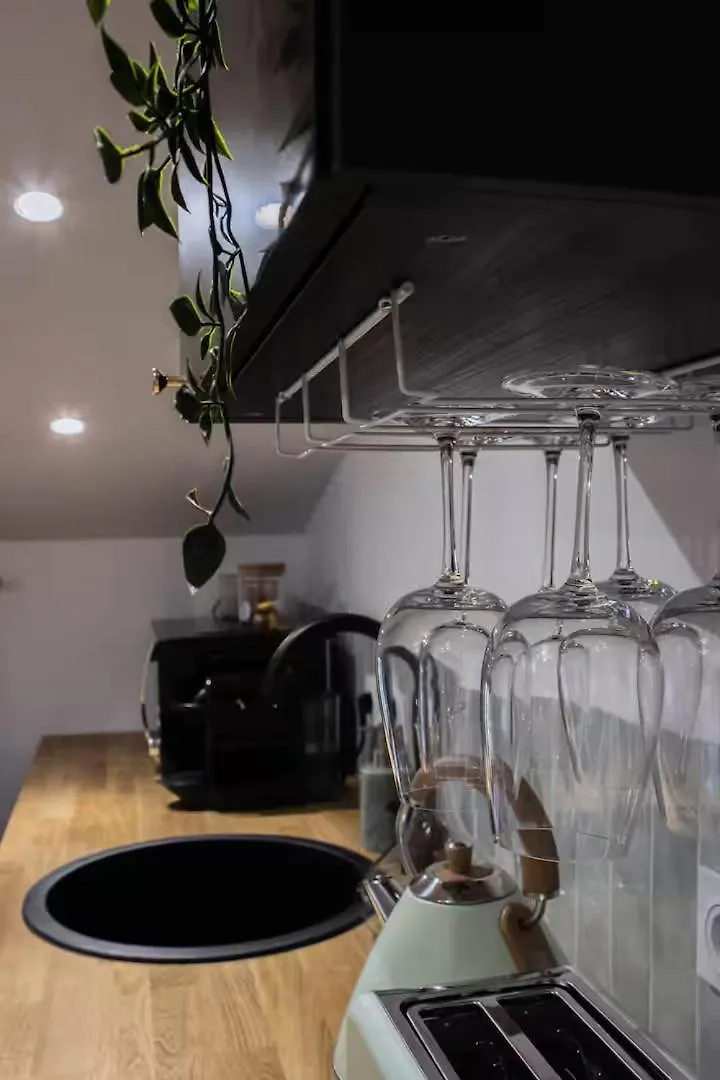 Apartment Suite Crystal Lyon
